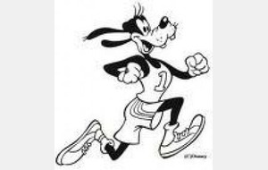 SEMI - MARATHON 11 Mars 2012