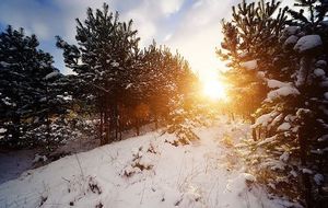 Vacances de Fin d'Année