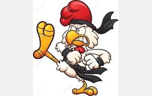 FIN DE SAISON 2015/2016