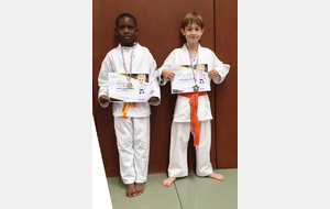 Le Shotokan Karaté Club d'Orvault en OR