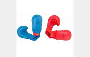 KUMITE &quot;Protections&quot;