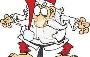 VACANCES SCOLAIRE DE NOËL