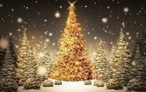 VACANCES SCOLAIRE DE NOËL