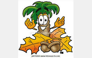 VACANCES D'AUTOMNE