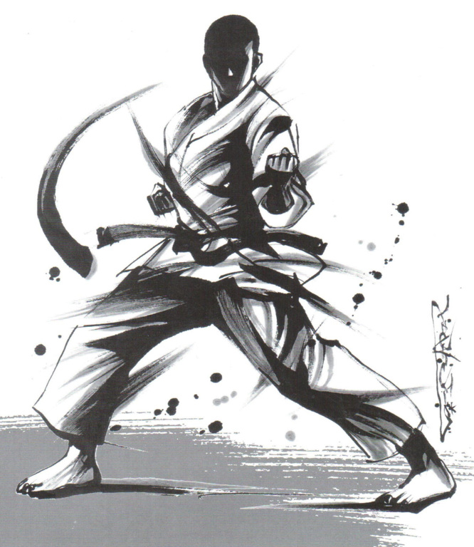 Stage Expert Federal Karate Mix Shotokan Karate Club D Orvault