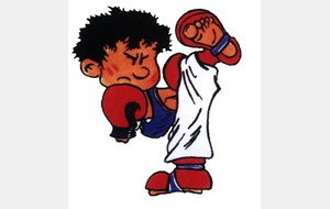 Karaté Light Contact / Point Fighting