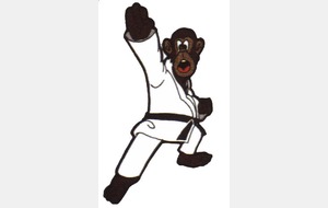 Stage Enfants (Cinéma + Karaté)