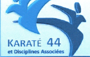 Stage Pluri-Disciplinaire