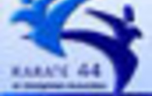 STAGE DEPARTEMENTAL D'EXPERT