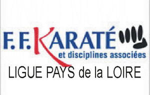 Championnat de Ligue KUMITE