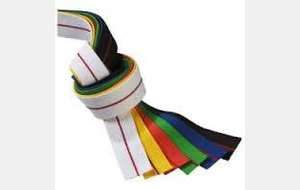 PASSAGE de GRADES ADULTES Débutants