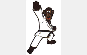 STAGE VETERANS &quot;AUGEREAU Daniel 4ème DAN&quot;