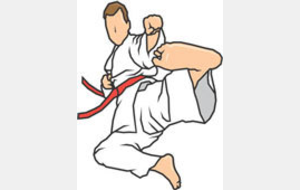 Stage KARATE DO Shotokan &quot;Hervé RAYMOND 6ème DAN&quot;