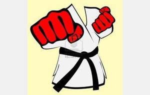 Stage Karaté Aïkido