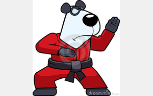 Ciné Karaté et Disciplines Associées