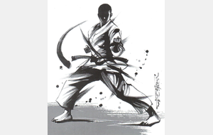 Stage KARATE + 40ans