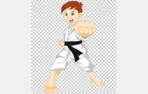 STAGE KARATE DO "Erwan GANDON"