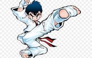 STAGE DE KARATE "Hervé DELAGE"