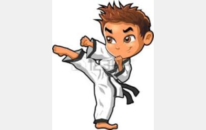 REPORTE - Stage KARATE