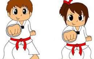 ANNULE - Stage KARATE "Pascal LECOURT" 7ème DAN