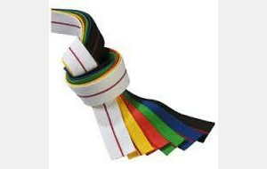  1- PASSAGE DE GRADES S.K.C.O. &quot;Vertes à Marrons&quot;