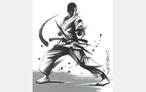 Stage club Daniel CERON, 7ème dan