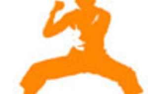 Stage club : Philippe SFORZA, CN 7ème dan