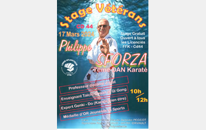 Stage VETERANS &quot;Philippe SFORZA 7ème DAN&quot;