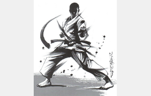 STAGE KARATE &quot;Gilles CHERDIEU&quot;