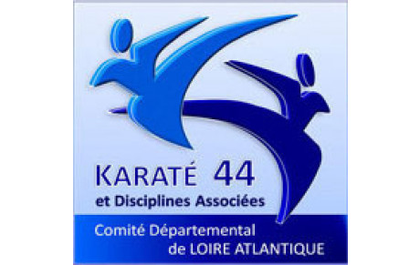 SHODAN DEPARTEMENTAL &quot;15 Juin 2013&quot;