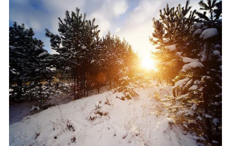 Vacances de Fin d'Année