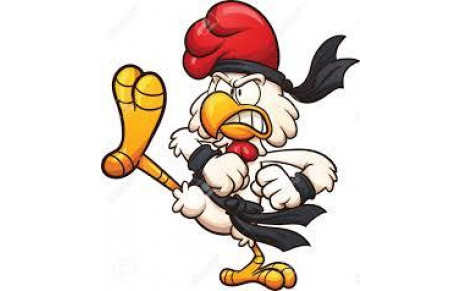 FIN DE SAISON 2015/2016