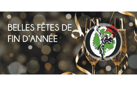 VOEUX 2018/2019