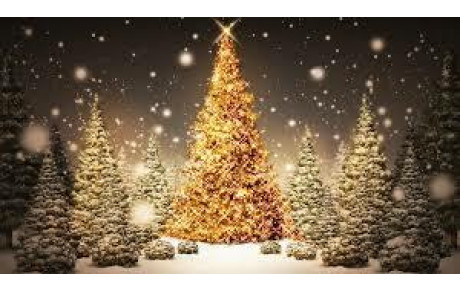 VACANCES SCOLAIRE DE NOËL